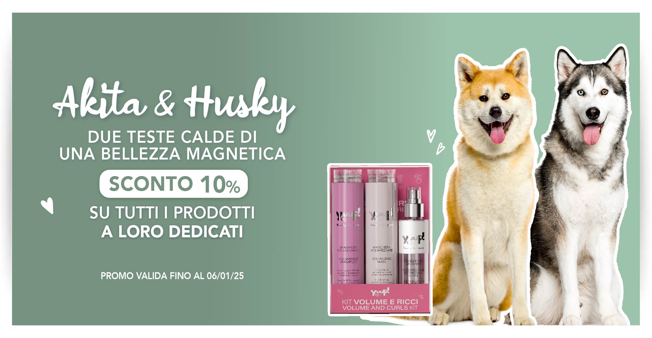 10% sconto Akita e Husky